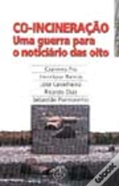 Co-Incineração