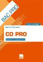 Co Pro ; Eleve ; Sujets D'Examen - Preview