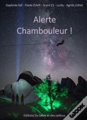 Co-Scriptum T.1 ; Alerte Chambouleur ! Cinq Ecrivains... Une Histoire
