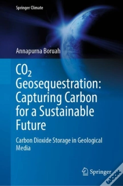 Capa do artigo Co2 Geosequestration: Capturing Carbon For A Sustainable Future