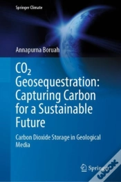 Capa do artigo Co2 Geosequestration: Capturing Carbon For A Sustainable Future