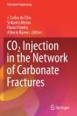Co2 Injection In The Network Of Carbonate Fractures - Preview
