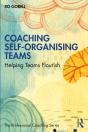 Coaching Self-Organising Teams - Preview