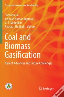 Capa do artigo Coal And Biomass Gasification