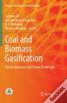 Coal And Biomass Gasification