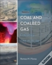 Capa do artigo Coal And Coalbed Gas