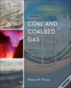 Capa do artigo Coal And Coalbed Gas
