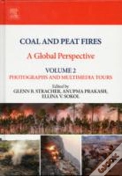 Capa do artigo Coal And Peat Fires: A Global Perspective
