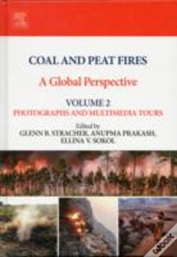 Capa do artigo Coal And Peat Fires: A Global Perspective