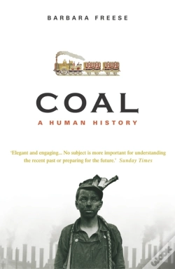 Capa do artigo Coal