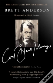Capa do artigo Coal Black Mornings