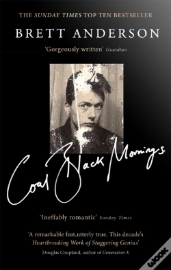 Capa do artigo Coal Black Mornings