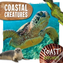 Capa do artigo Coastal Creatures