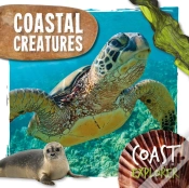 Capa do artigo Coastal Creatures