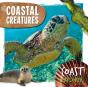 Coastal Creatures - Preview