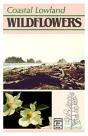 Coastal Lowland Wildflowers - Preview