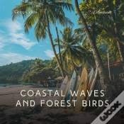 Capa do artigo Coastal Waves And Forest Birds