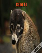 Coati