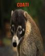 Coati - Preview