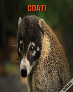 Capa do artigo Coati