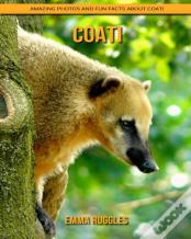 Coati
