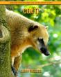 Coati - Preview