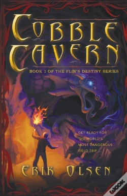 Capa do artigo Cobble Cavern