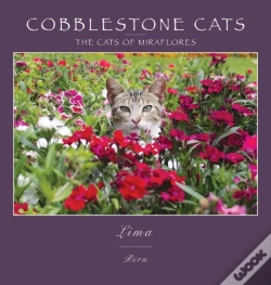 Capa do artigo Cobblestone Cats - Mf