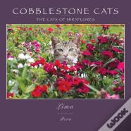 Cobblestone Cats - Mf