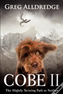 Capa do artigo Cobe Ii