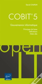 Capa do artigo Cobit