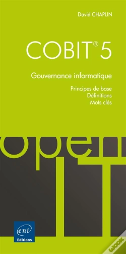 Capa do artigo Cobit