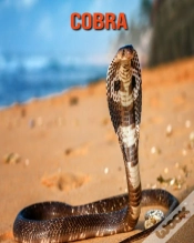 Capa do artigo Cobra