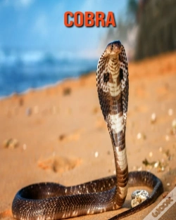 Capa do artigo Cobra