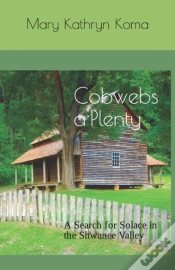 Capa do artigo Cobwebs A