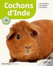 Capa do artigo Cochons D