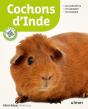 Cochons D'Inde - Preview