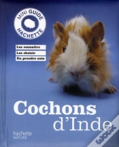 Capa do artigo Cochons D