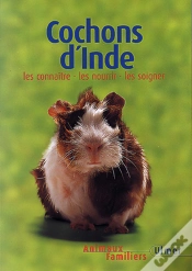 Capa do artigo Cochons D