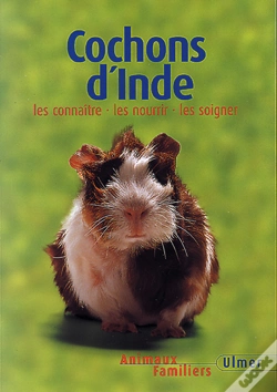 Capa do artigo Cochons D'Inde ; Nouvelle Edition