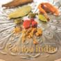 Cocina India Para Occidentales - Preview
