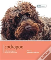 Capa do artigo Cockapoo - Dog Expert