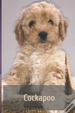 Capa do artigo Cockapoo