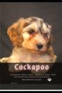 Cockapoo - Preview