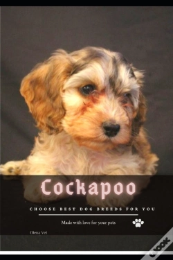 Capa do artigo Cockapoo