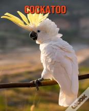 Cockatoo