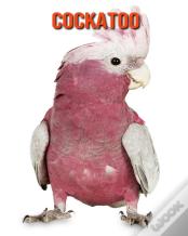 Cockatoo