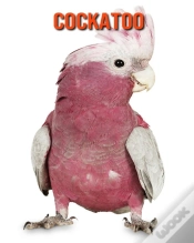 Capa do artigo Cockatoo