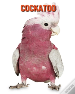 Capa do artigo Cockatoo