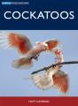 Cockatoos - Preview